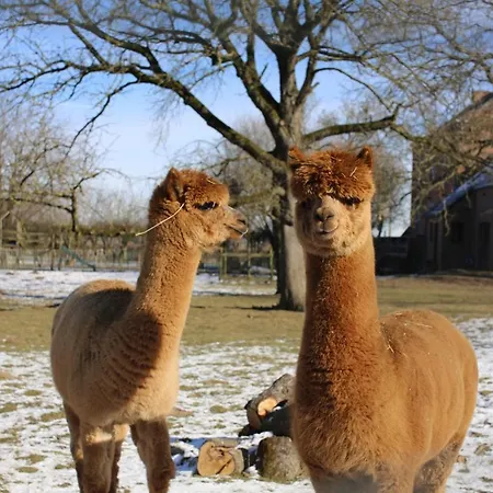 Гостевой дом Le Du Pic