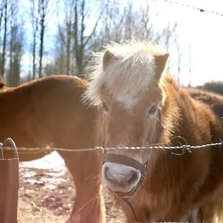 Le Du Pic Гостевой дом 3*