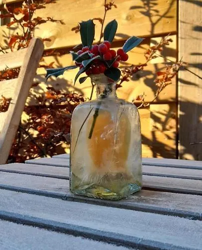 Maison d'hôtes Le Du Pic Ciplet