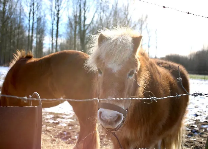 Le Du Pic Gasthof 3*